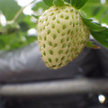 370111_20181212160235_01.JPG