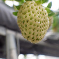370111_20181212160310_01.JPG
