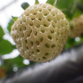 370111_20181212160740_01.JPG