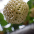 370111_20181212160816_02.JPG