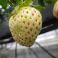 370111_20181212161121_01.JPG