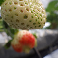 370111_20181212161130_02.JPG