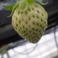 370111_20181212161154_02.JPG
