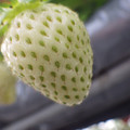 370111_20181212161214_01.JPG