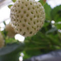 370111_20181212161224_01.JPG