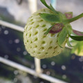370111_20181227153419_01.JPG