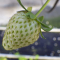 370111_20181227153434_01.JPG