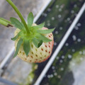 370111_20181227154010_01.JPG