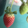 420024_20190104095551_01.JPG
