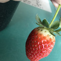 420024_20190104095600_01.JPG