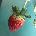 420024_20190104095609_01.JPG