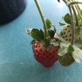 420025_20190104095438_01.JPG