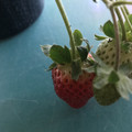 420025_20190104095438_02.JPG