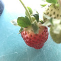 420025_20190104095445_02.JPG