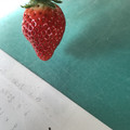 420025_20190104095457_02.JPG