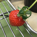 420027_20190103112214_01.JPG
