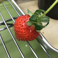 420027_20190103112214_03.JPG