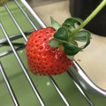 420027_20190103112214_04.JPG