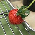 420027_20190103112214_05.JPG