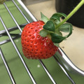420027_20190103112215_03.JPG