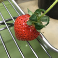 420027_20190103112215_04.JPG