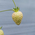 420039_20190219090754_01.JPG