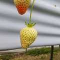 420039_20190219091438_01.JPG