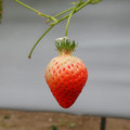 420039_20190228110751_01.JPG