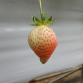 420039_20190228110845_01.JPG
