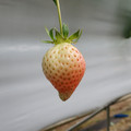 420039_20190228110848_01.JPG