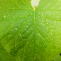 235005_20180608173003_01.JPG