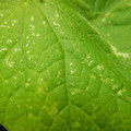 235005_20180608173034_01.JPG