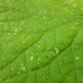 235005_20180608173056_01.JPG