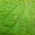 235005_20180608173104_01.JPG