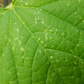 235005_20180608173107_01.JPG