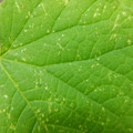 235005_20180608173113_01.JPG