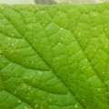 235005_20180608173151_01.JPG