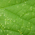 235005_20180608173208_01.JPG