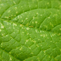 235005_20180608173229_01.JPG