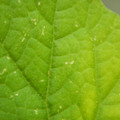 235005_20180608173242_01.JPG
