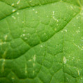 235005_20180608173328_01.JPG