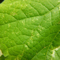 235005_20180608173351_01.JPG