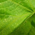 235005_20180608173407_01.JPG
