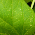 235005_20180608173411_01.JPG