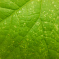 235005_20180608173423_01.JPG