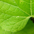 235005_20180608173508_01.JPG