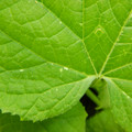 235005_20180608173513_01.JPG