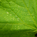 235005_20180608173517_01.JPG