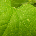 235005_20180608173530_01.JPG