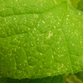 235005_20180608173533_01.JPG